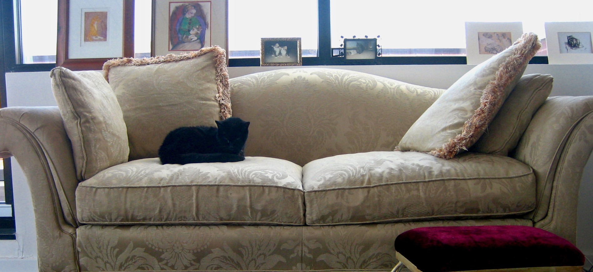 Рекомендуется приобретать диван с прочной обивкой, которая не пострадает от кошачьих когтей