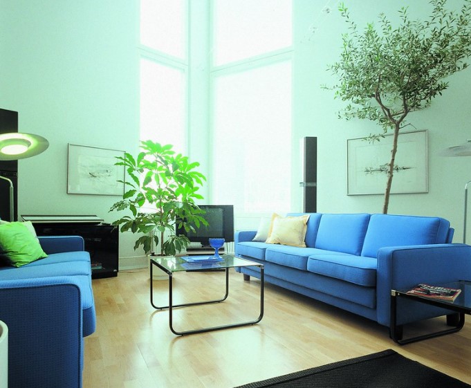 Шалфейный оттенок отлично гармонирует с синим цветом в интерьере гостиной
