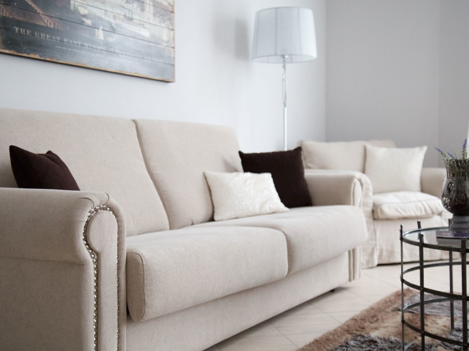 Не стоит выбирать диван со светлой обивкой, так как ее придется часто чистить