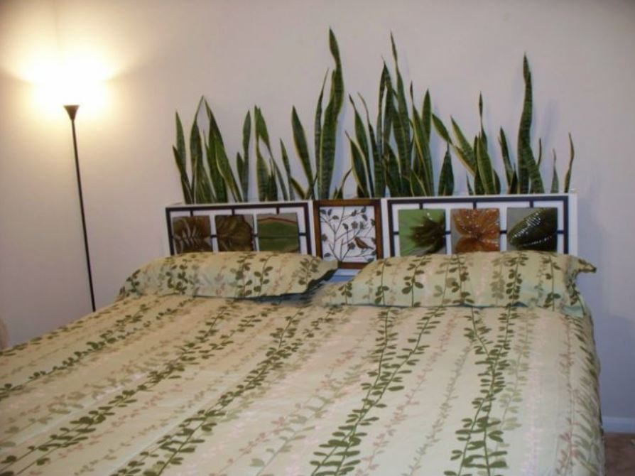 Спальня в эко-стиле с живыми растениями в изголовье