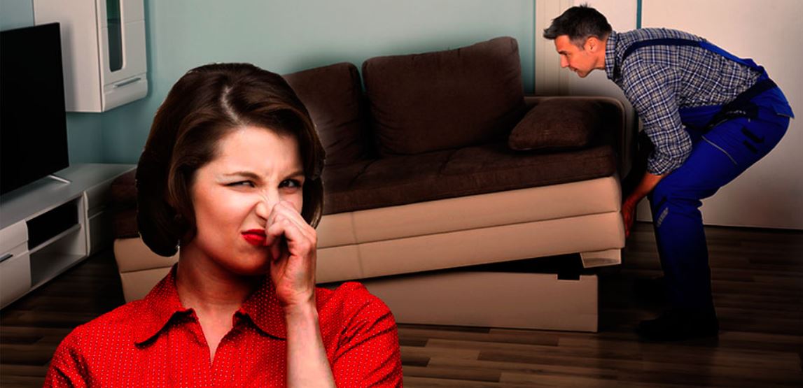 Очистить диван от запаха детской мочи