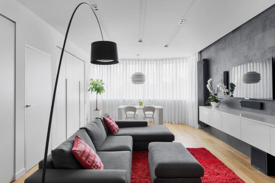 Гостиная в стиле минимализм с красным ковром