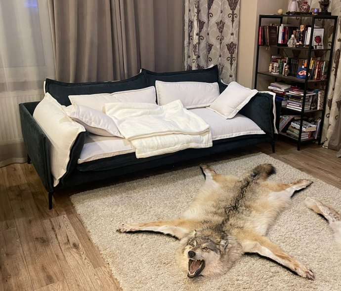 На фотографии диван Bari в гостиной, разделенной невысоким стеллажом На фотографии диван Bari в гостиной, разделенной невысоким стеллажом